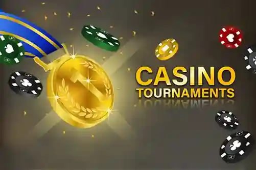 bvbx login